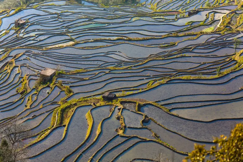 滴灌带与微喷带在川渝丘陵地块的适配性对比分析正文配图 1